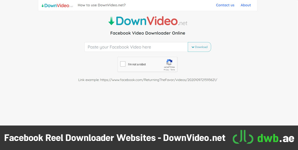 DownVideo.net
