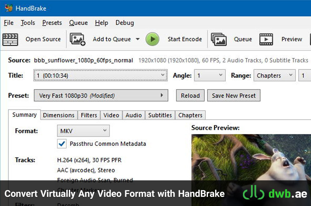 Convert Virtually Any Video Format with HandBrake